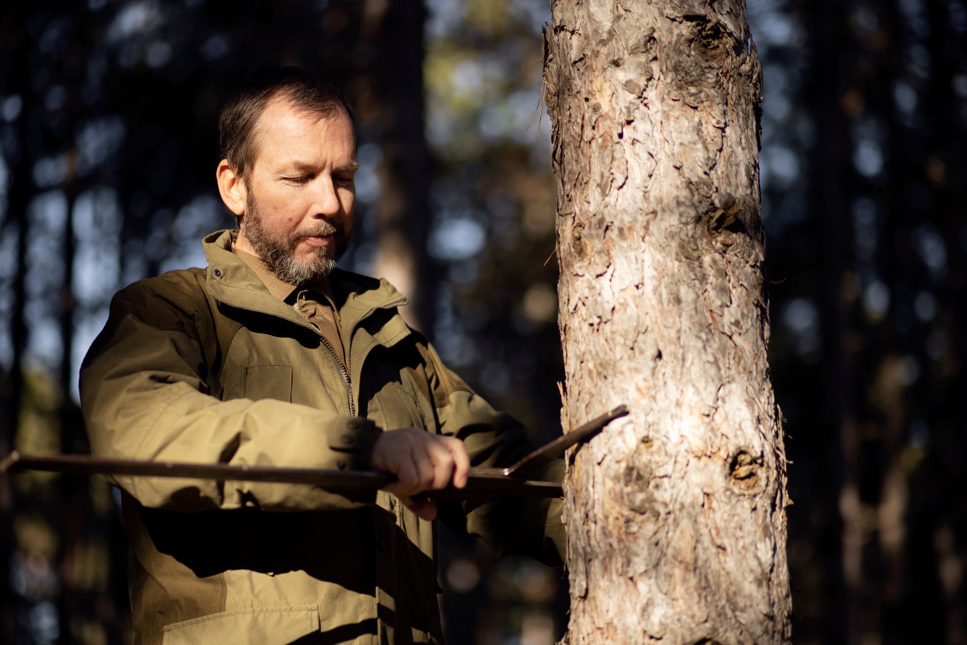 Pruning trees using a liftarm